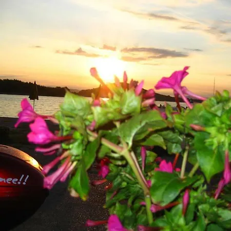 Mudronja 아파트 *